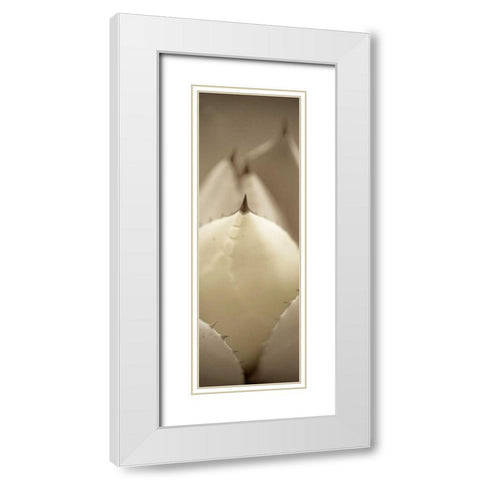 Florison - 67 White Modern Wood Framed Art Print with Double Matting by Blaustein, Alan