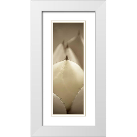 Florison - 67 White Modern Wood Framed Art Print with Double Matting by Blaustein, Alan