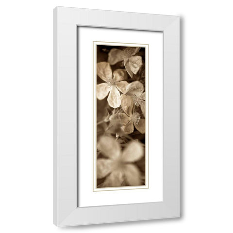Florison - 69 White Modern Wood Framed Art Print with Double Matting by Blaustein, Alan