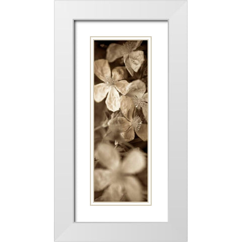 Florison - 69 White Modern Wood Framed Art Print with Double Matting by Blaustein, Alan