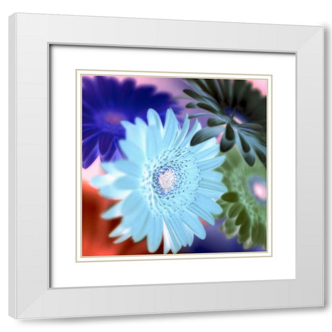 Floral Color - 1 White Modern Wood Framed Art Print with Double Matting by Blaustein, Alan