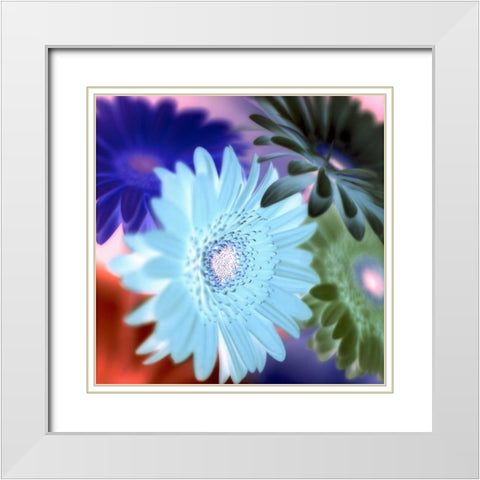 Floral Color - 1 White Modern Wood Framed Art Print with Double Matting by Blaustein, Alan