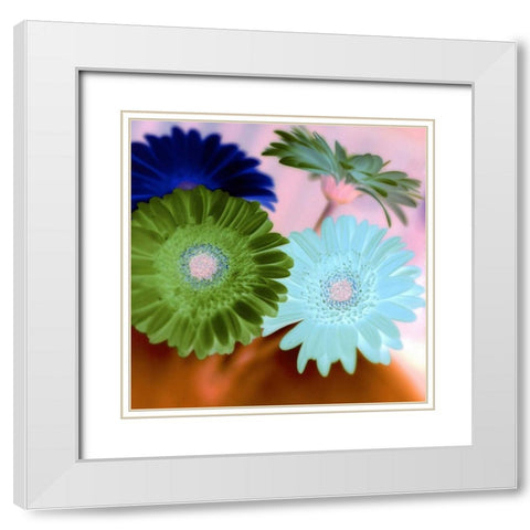 Floral Color - 2 White Modern Wood Framed Art Print with Double Matting by Blaustein, Alan