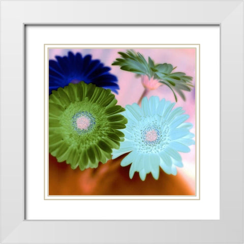 Floral Color - 2 White Modern Wood Framed Art Print with Double Matting by Blaustein, Alan