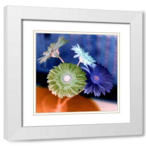 Floral Color - 3 White Modern Wood Framed Art Print with Double Matting by Blaustein, Alan