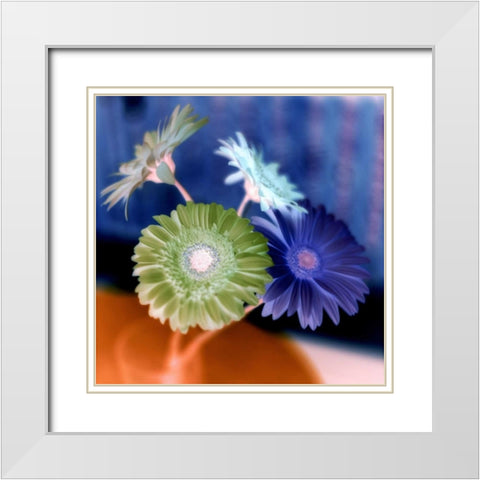 Floral Color - 3 White Modern Wood Framed Art Print with Double Matting by Blaustein, Alan