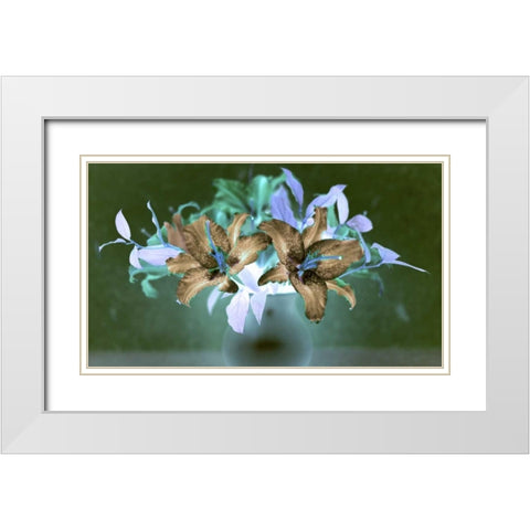 Floral Color - 20 White Modern Wood Framed Art Print with Double Matting by Blaustein, Alan