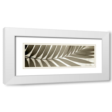 Florison - 98 White Modern Wood Framed Art Print with Double Matting by Blaustein, Alan