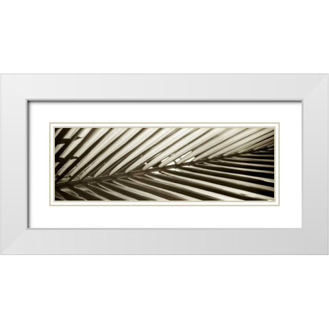 Florison - 100 White Modern Wood Framed Art Print with Double Matting by Blaustein, Alan