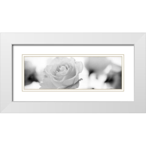 Florison - 102 White Modern Wood Framed Art Print with Double Matting by Blaustein, Alan