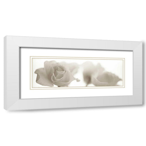 Florison - 103 White Modern Wood Framed Art Print with Double Matting by Blaustein, Alan