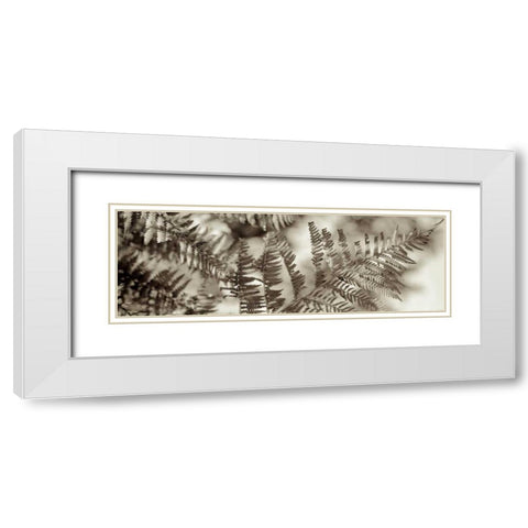 Florison - 101 White Modern Wood Framed Art Print with Double Matting by Blaustein, Alan