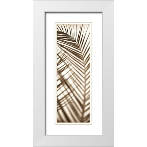 Florison - 72 White Modern Wood Framed Art Print with Double Matting by Blaustein, Alan