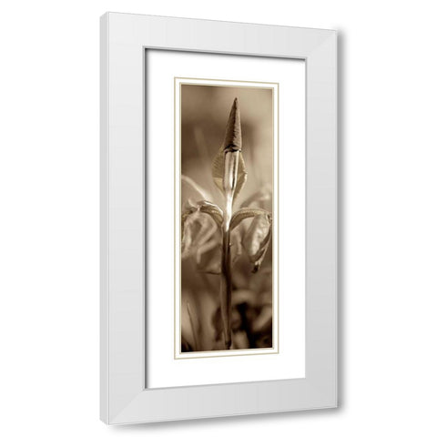 Florison - 74 White Modern Wood Framed Art Print with Double Matting by Blaustein, Alan