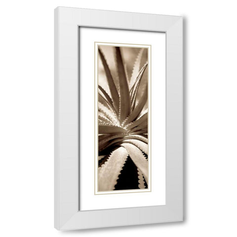 Florison - 77 White Modern Wood Framed Art Print with Double Matting by Blaustein, Alan