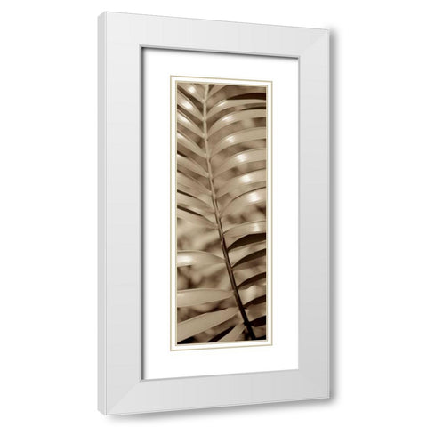 Florison - 92 White Modern Wood Framed Art Print with Double Matting by Blaustein, Alan