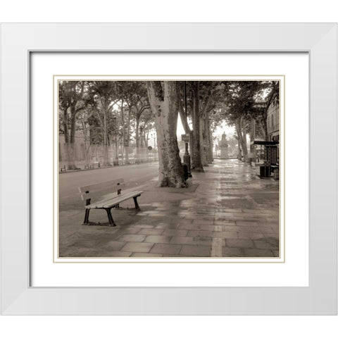 Banc de Jardin - 45 White Modern Wood Framed Art Print with Double Matting by Blaustein, Alan