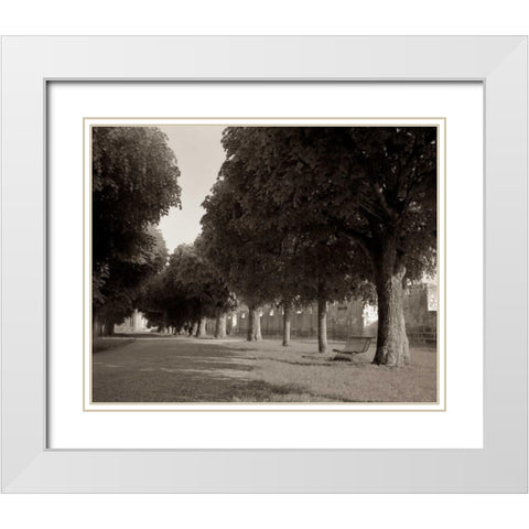 Banc de Jardin - 46 White Modern Wood Framed Art Print with Double Matting by Blaustein, Alan