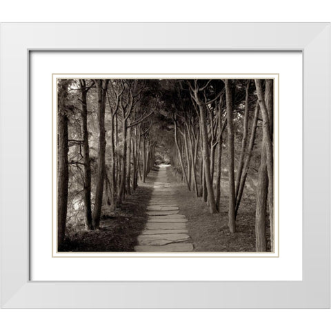 Banc de Jardin - 75 White Modern Wood Framed Art Print with Double Matting by Blaustein, Alan