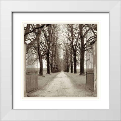 Veneto Giardini - 1 White Modern Wood Framed Art Print with Double Matting by Blaustein, Alan