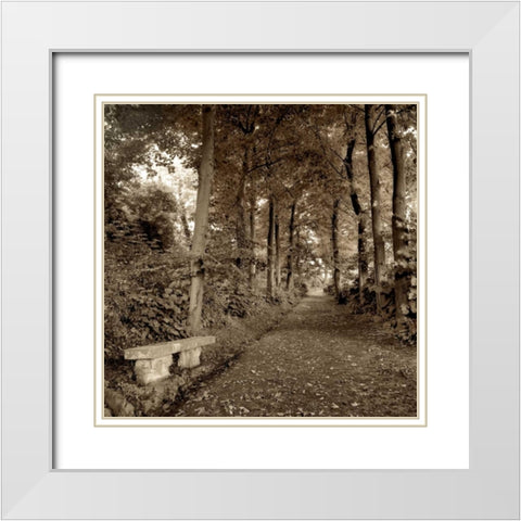 Fiesole Giardini - 2 White Modern Wood Framed Art Print with Double Matting by Blaustein, Alan