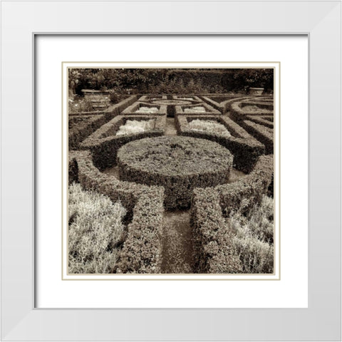 Tuscan Giardini - 1 White Modern Wood Framed Art Print with Double Matting by Blaustein, Alan