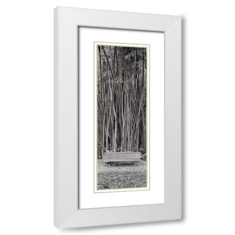 Orto Botanico - 1 White Modern Wood Framed Art Print with Double Matting by Blaustein, Alan