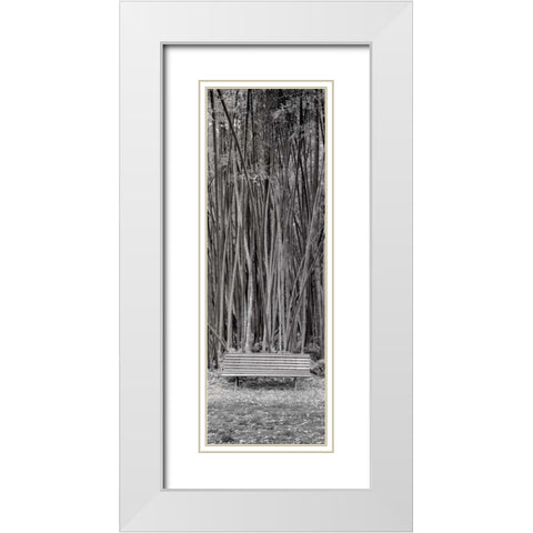 Orto Botanico - 1 White Modern Wood Framed Art Print with Double Matting by Blaustein, Alan
