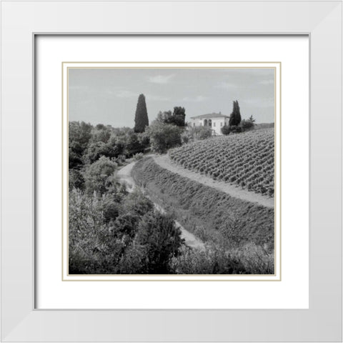 Tuscany - 5 White Modern Wood Framed Art Print with Double Matting by Blaustein, Alan
