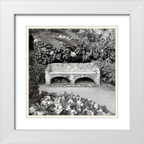 Campagnia - 1 White Modern Wood Framed Art Print with Double Matting by Blaustein, Alan