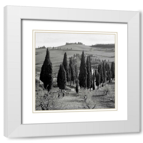 Tuscany - 4 White Modern Wood Framed Art Print with Double Matting by Blaustein, Alan