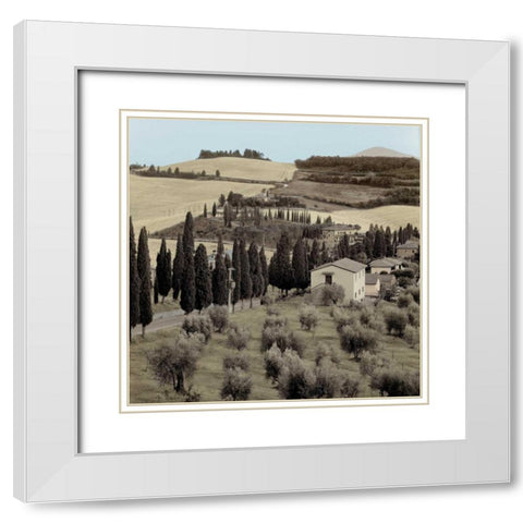 Tuscany - 15 White Modern Wood Framed Art Print with Double Matting by Blaustein, Alan
