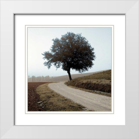 Tuscany - 12 White Modern Wood Framed Art Print with Double Matting by Blaustein, Alan