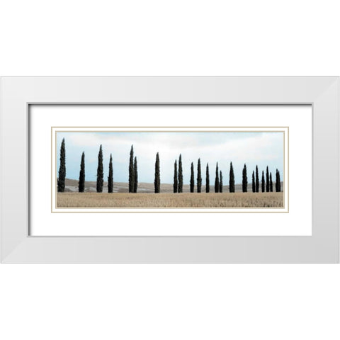Val dÃ¢â‚¬â„¢Orcia Pano - 5 White Modern Wood Framed Art Print with Double Matting by Blaustein, Alan