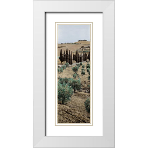 Tuscany - 13 White Modern Wood Framed Art Print with Double Matting by Blaustein, Alan