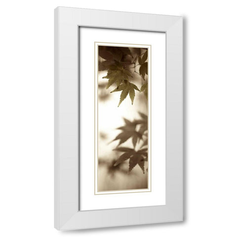 Florison - 97 White Modern Wood Framed Art Print with Double Matting by Blaustein, Alan