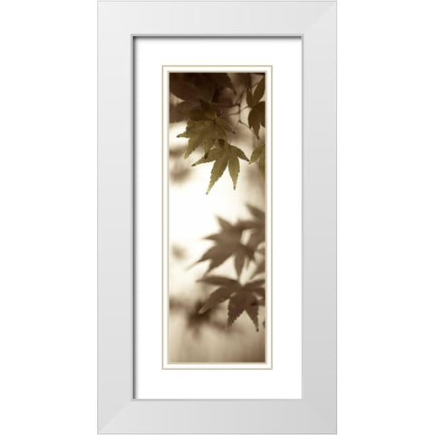 Florison - 97 White Modern Wood Framed Art Print with Double Matting by Blaustein, Alan