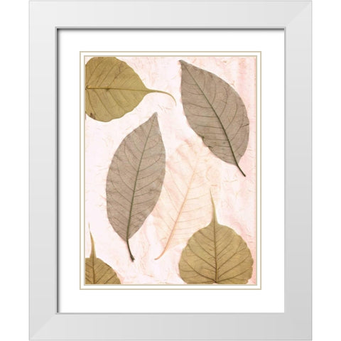 Floral - 23 White Modern Wood Framed Art Print with Double Matting by Blaustein, Alan