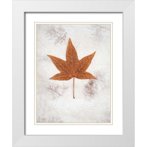Floral - 26 White Modern Wood Framed Art Print with Double Matting by Blaustein, Alan
