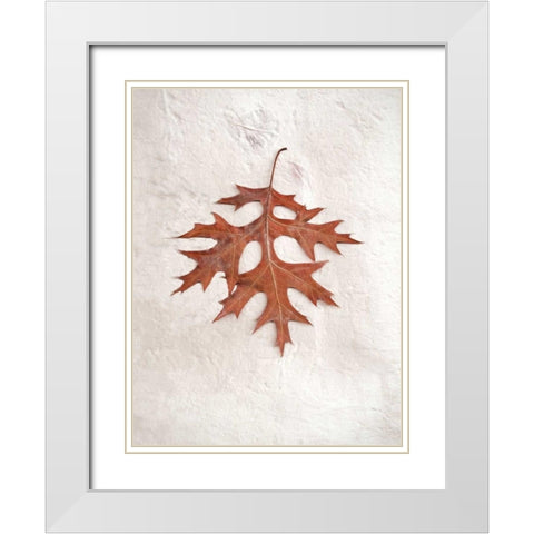 Floral - 27 White Modern Wood Framed Art Print with Double Matting by Blaustein, Alan