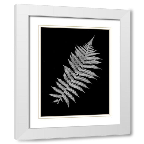 Floral B-W - 18 White Modern Wood Framed Art Print with Double Matting by Blaustein, Alan