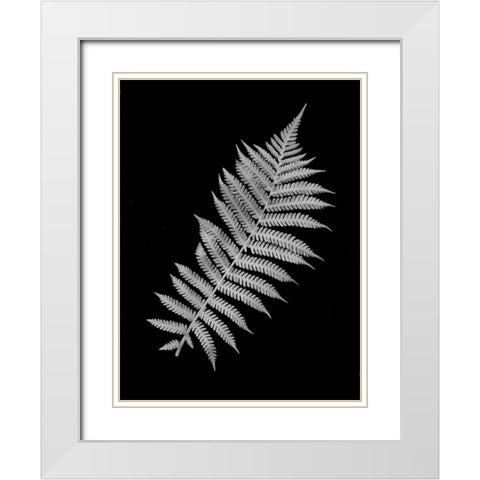 Floral B-W - 18 White Modern Wood Framed Art Print with Double Matting by Blaustein, Alan
