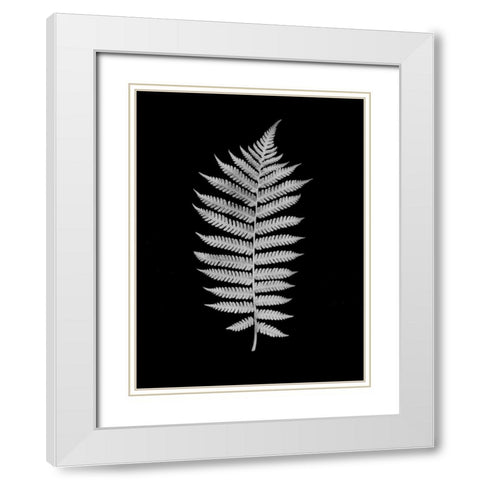 Floral B-W - 19 White Modern Wood Framed Art Print with Double Matting by Blaustein, Alan