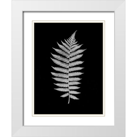 Floral B-W - 19 White Modern Wood Framed Art Print with Double Matting by Blaustein, Alan