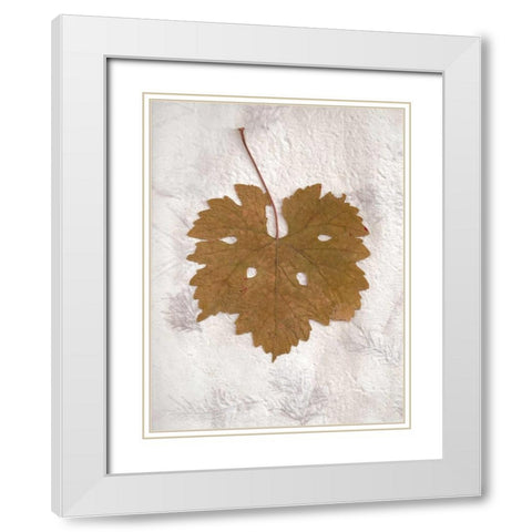 Floral - 28 White Modern Wood Framed Art Print with Double Matting by Blaustein, Alan