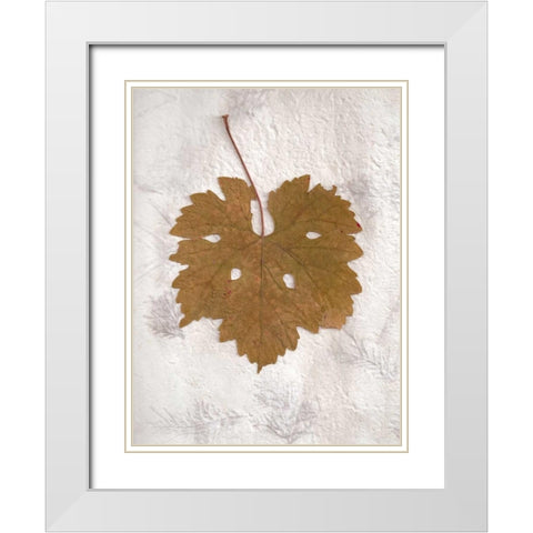 Floral - 28 White Modern Wood Framed Art Print with Double Matting by Blaustein, Alan