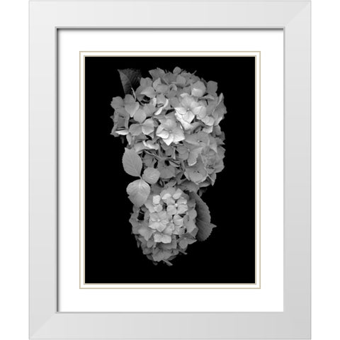 Floral B-W - 29 White Modern Wood Framed Art Print with Double Matting by Blaustein, Alan