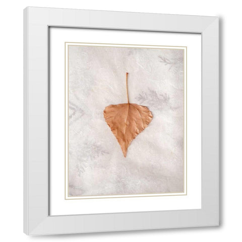 Floral - 29 White Modern Wood Framed Art Print with Double Matting by Blaustein, Alan
