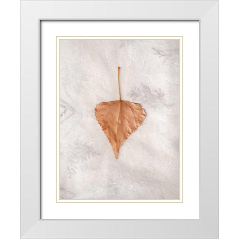 Floral - 29 White Modern Wood Framed Art Print with Double Matting by Blaustein, Alan