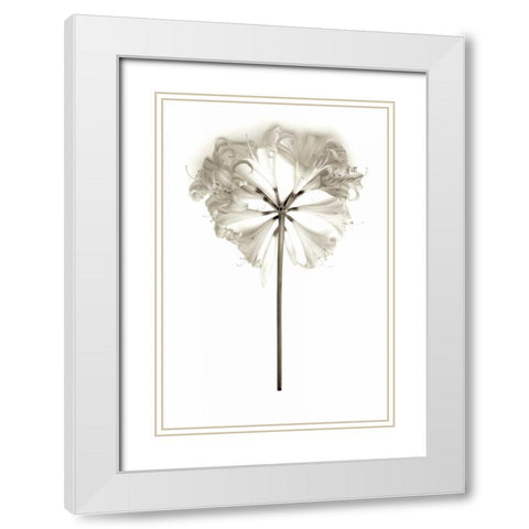 Garden Bloom - 11 White Modern Wood Framed Art Print with Double Matting by Blaustein, Alan